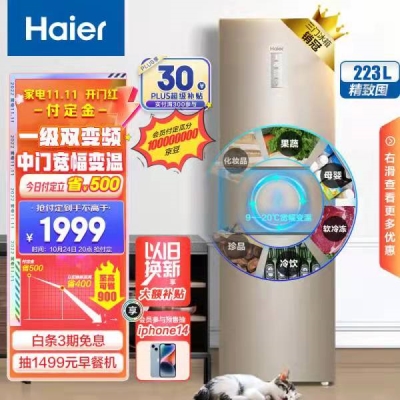 【京东】海尔 (Haier )223升冰箱    1999 元