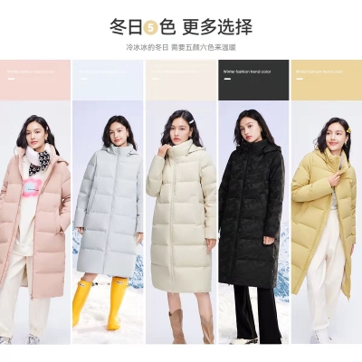 雪中飞中长款修身保暖外套羽绒服   199 元      领天猫优惠券260元