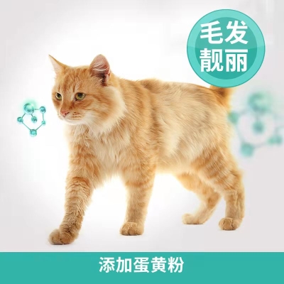 凯锐思成猫专用猫粮  49 元