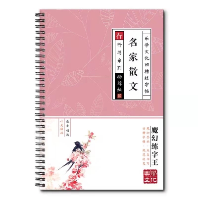 成长礼品 正楷书临摹初学成人行书练字帖   5.9 元        9块9包邮推荐