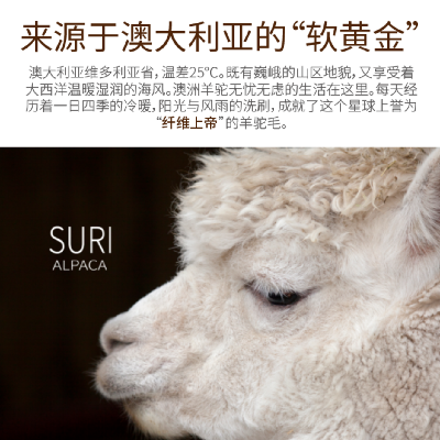 澳大利亚羊毛被   周年庆礼品推荐