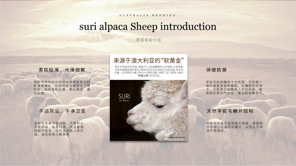 澳大利亚羊毛被，活动礼品、年会礼品、活动物料、周年庆礼品、纪念礼品、周年庆、企业年会礼品推荐。