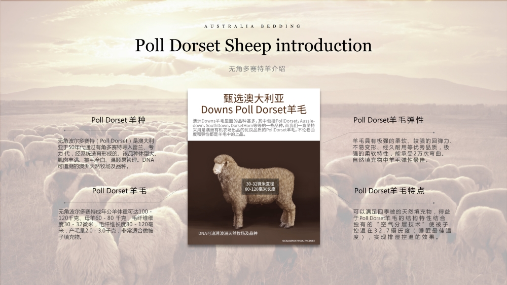 澳大利亚羊毛被，活动礼品、年会礼品、活动物料、周年庆礼品、纪念礼品、周年庆、企业年会礼品推荐。
