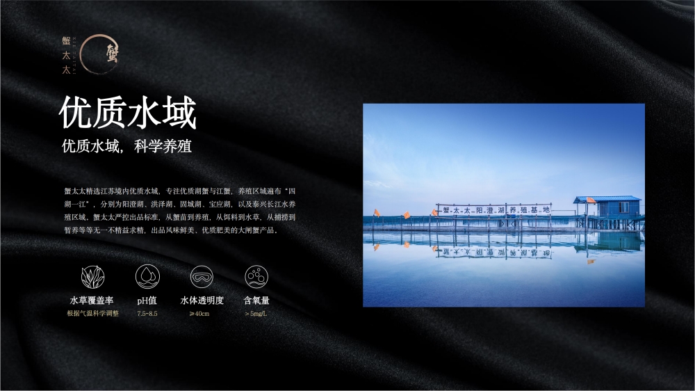 蟹太太大闸蟹 蟹太太阳澄湖大闸蟹   节日礼品、中秋节礼品、员工福利礼品推荐