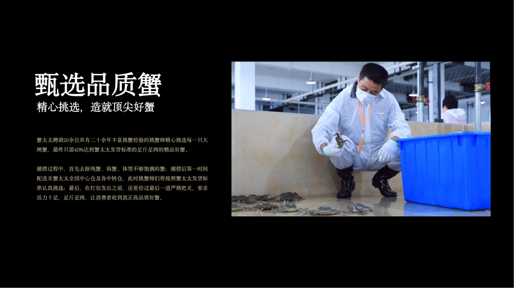 蟹太太大闸蟹 蟹太太阳澄湖大闸蟹   节日礼品、中秋节礼品、员工福利礼品推荐