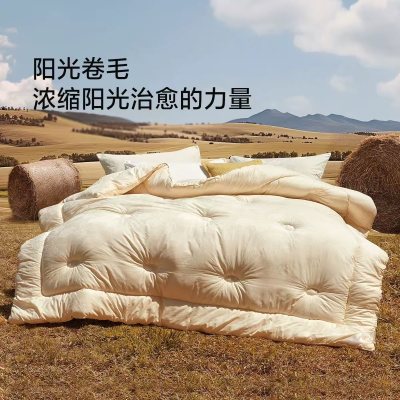 澳洲羊毛四季被芯礼品，264.12 元！