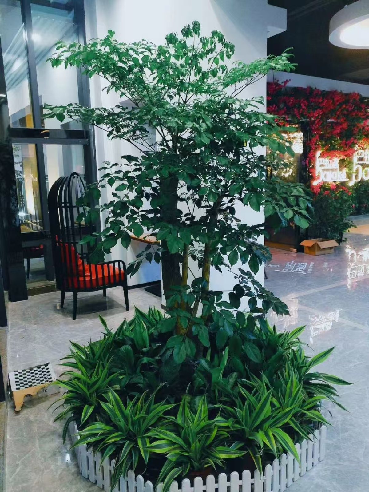 集团绿植礼品案例及花园维护：为员工、客户提供了身心健康与场景优化，又为集团打造了生态化空间与有温度的品牌形象。优化环境品质，塑造生态化空间，为员工提供了身心健康与情感满足，也是品牌注重 ESG（环境、社会、治理）的展示，最终实现 “个人舒心、空间优质、组织受益、环境友好” 的多方共赢。