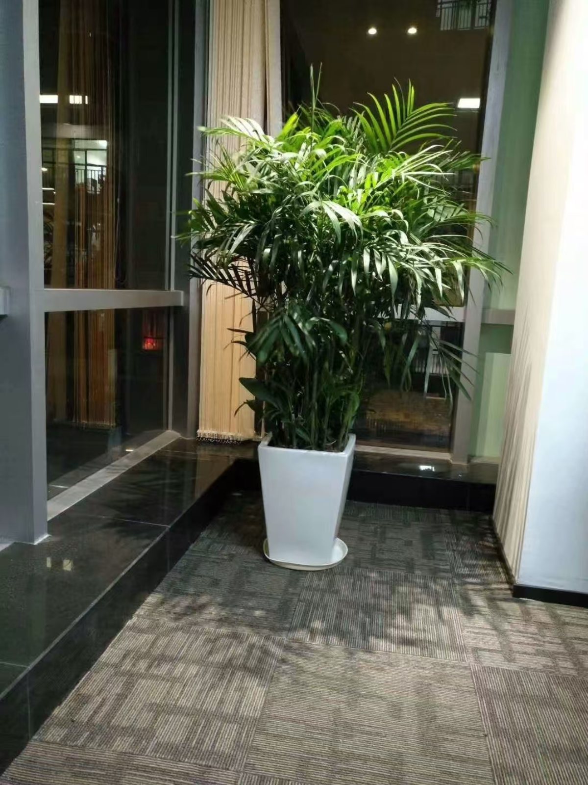 集团绿植礼品案例及花园维护：为员工、客户提供了身心健康与场景优化，又为集团打造了生态化空间与有温度的品牌形象。优化环境品质，塑造生态化空间，为员工提供了身心健康与情感满足，也是品牌注重 ESG（环境、社会、治理）的展示，最终实现 “个人舒心、空间优质、组织受益、环境友好” 的多方共赢。