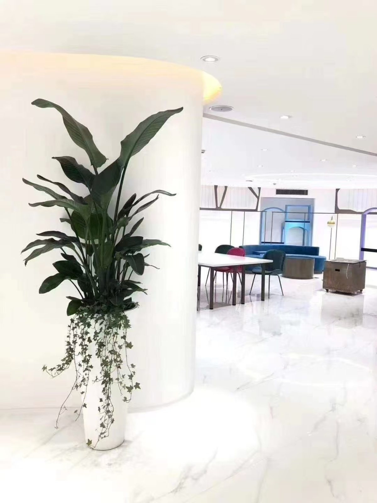 集团绿植礼品案例及花园维护：为员工、客户提供了身心健康与场景优化，又为集团打造了生态化空间与有温度的品牌形象。优化环境品质，塑造生态化空间，为员工提供了身心健康与情感满足，也是品牌注重 ESG（环境、社会、治理）的展示，最终实现 “个人舒心、空间优质、组织受益、环境友好” 的多方共赢。